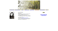 Desktop Screenshot of binaagarwal.com