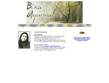 Tablet Screenshot of binaagarwal.com